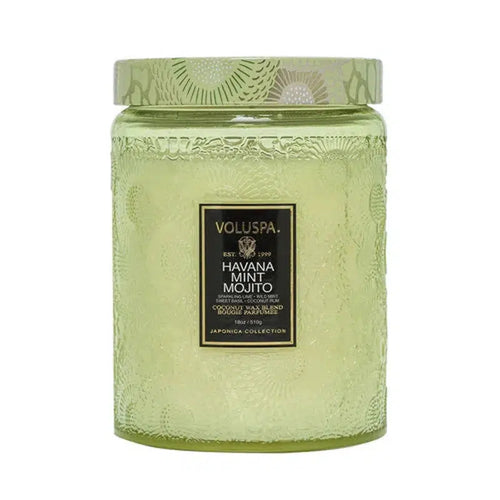 Havana Mint Mojito Candle 100hr-Voluspa-Shop At The Hive Ashburton-Lifestyle Store & Online Gifts