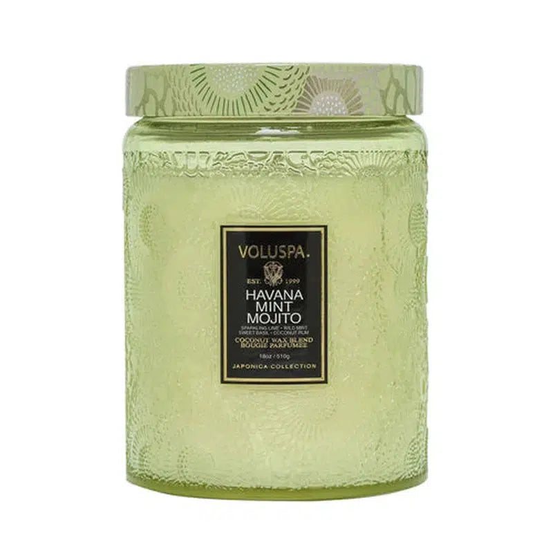 Havana Mint Mojito Candle 100hr-Voluspa-Shop At The Hive Ashburton-Lifestyle Store & Online Gifts