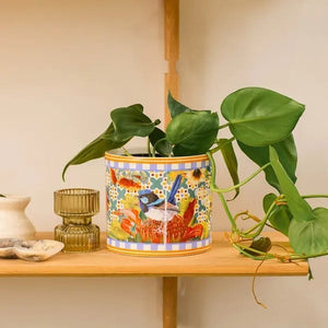 Pot Planter / Good Evening-La La Land-Shop At The Hive Ashburton-Lifestyle Store & Online Gifts